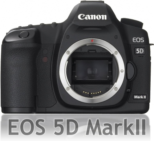 カメラ遍歴 8】EOS 5D MarkⅡ | USEFUL FOR LIFE