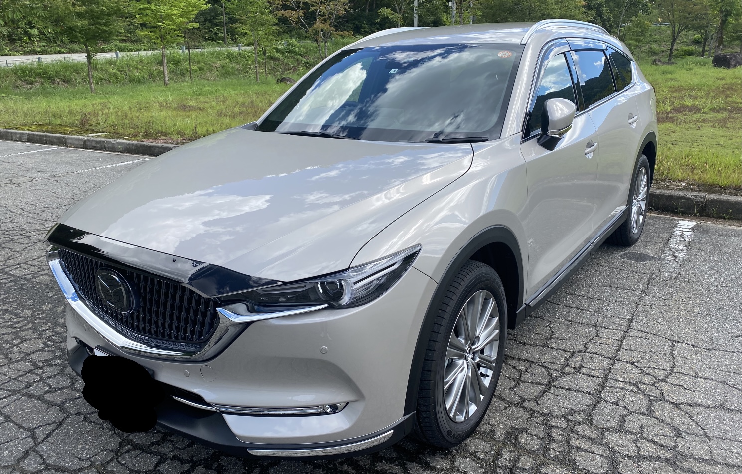 オーストラリア純正バグガードで、ギラつき過ぎす纏めました『MAZDA CX