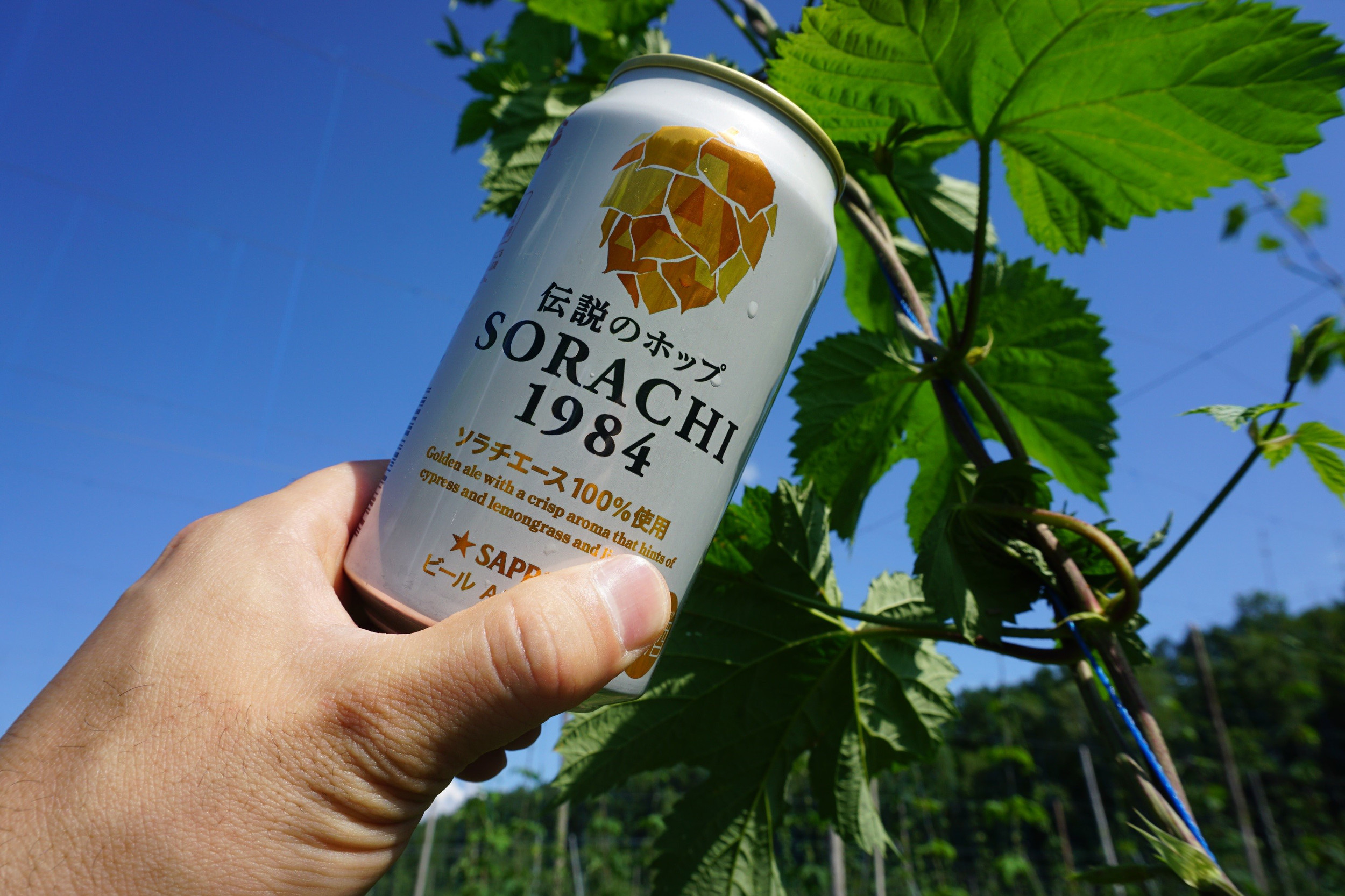 伝説のホップだけでつくったビール「SORACHI 1984」をつなぐ者たちの