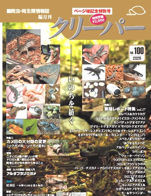 エクストラ・クリーパー No．1 ナガクビガメ クリーパー 15冊セット