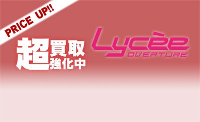 SR 斎藤 結菜 帰蝶 販売 | ネクストン 4.0 | Lycee Overture通販なら
