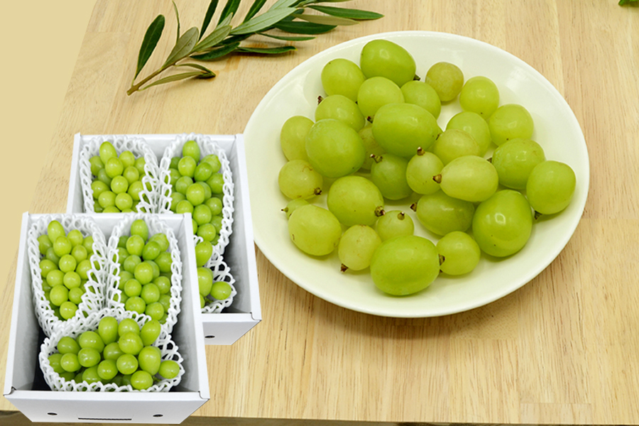 2025年完売】2026年7月頃～予約開始予定|《ご家庭用》プレミアムぶどう