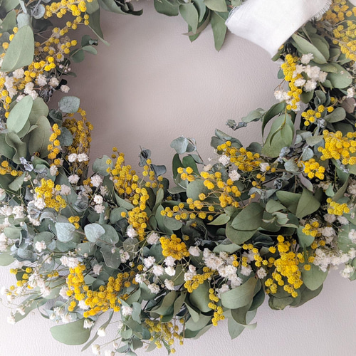ミモザのリース ユーカリ&かすみ草(30cm) リース mamemona 通販