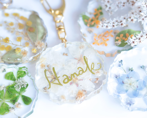 21e0c979db2057680fbc46733c098b