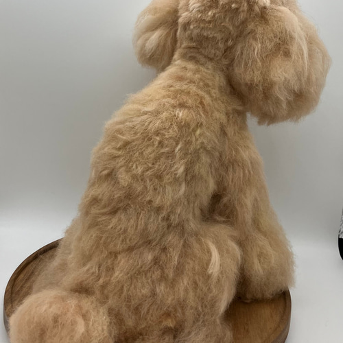 羊毛とプー】 ♦️プレミアムサイズ♦️ 羊毛フェルト オーダーメイド