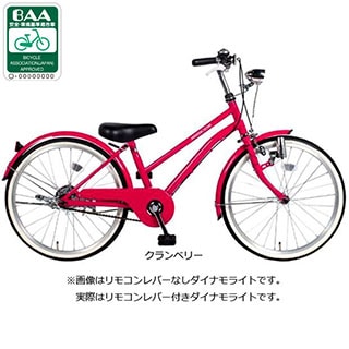 イノベーションファクトリージュニア BAA-O 22インチ 変速なし 子供用