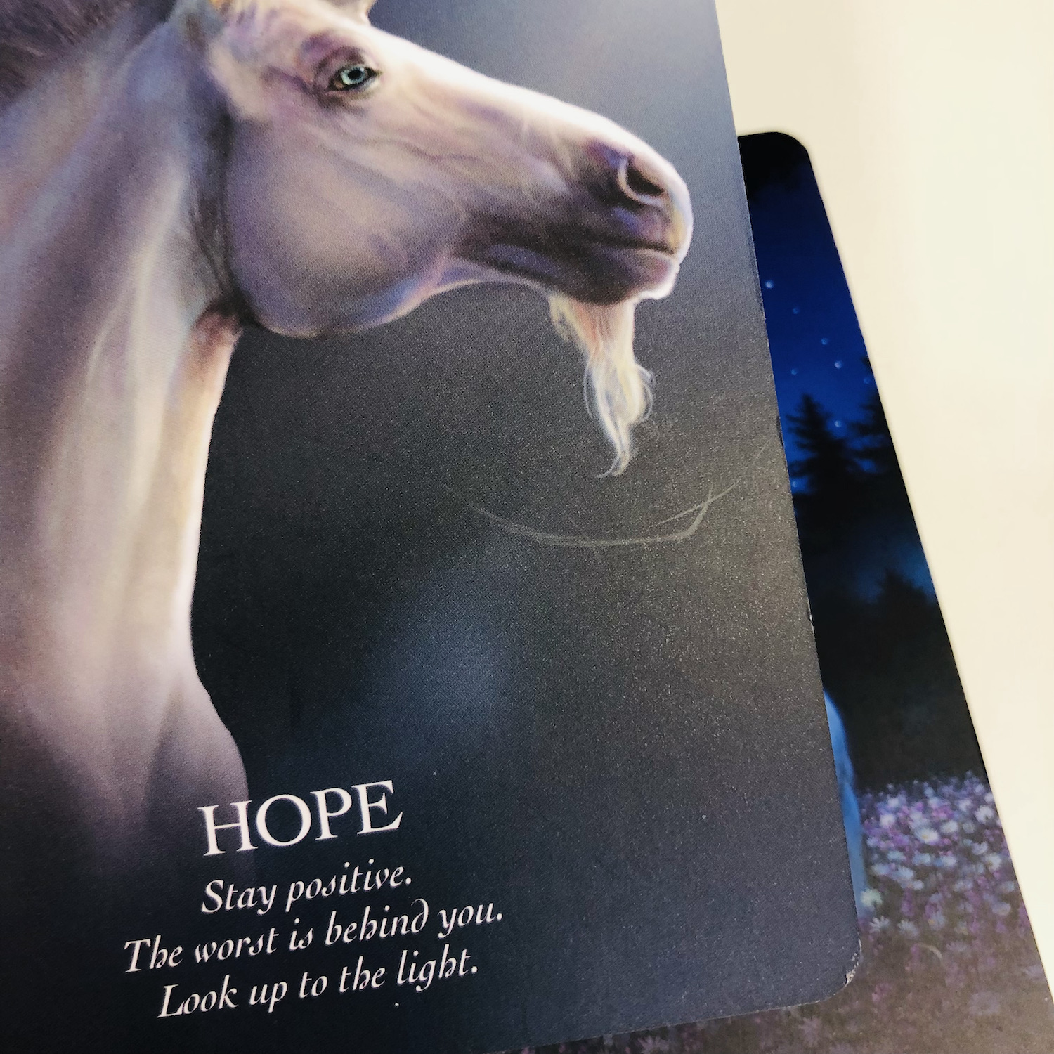 オラクル オブ ザ ユニコーン 日本語解説書付き（中古-可） | 日本の