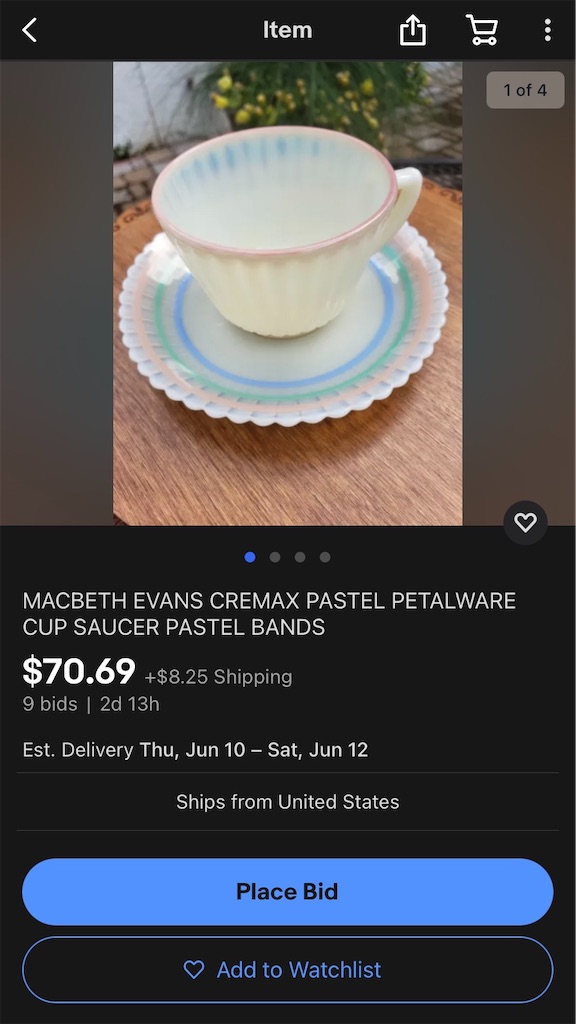 マクベスエバンス】パステルバンドの魅力。最後に手に入れたかったモノ