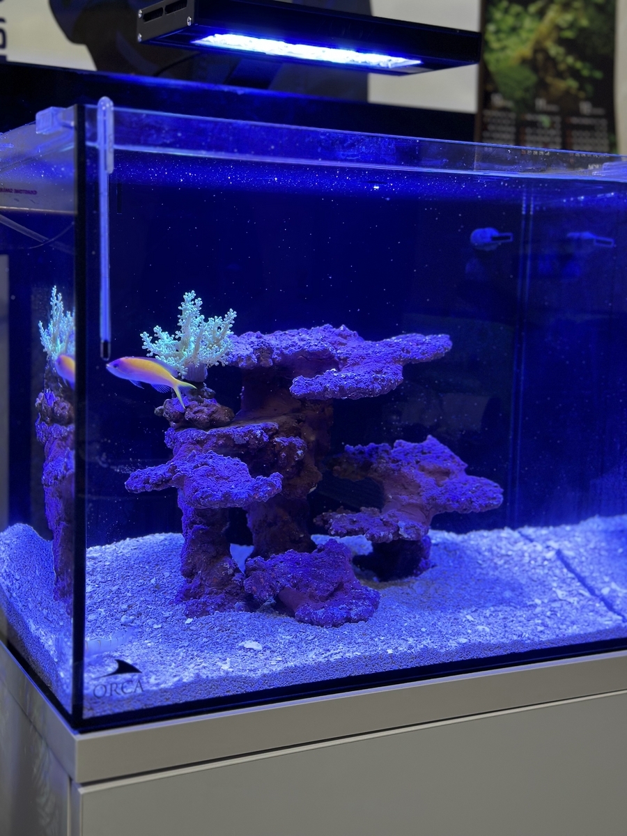 人工ライブロック RR75 アク抜き済み安心塗料使用 人工ライブロック