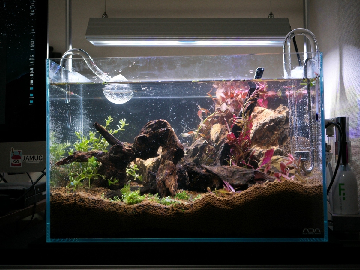 ADA キューブガーデン 45cmを立ち上げた。 - atelier:mitsuba