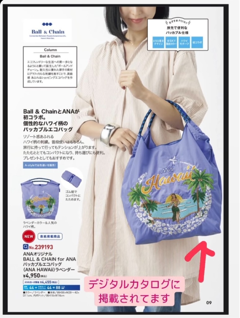 ボールアンドチェーンのエコバッグが可愛いというよりオシャレすぎる
