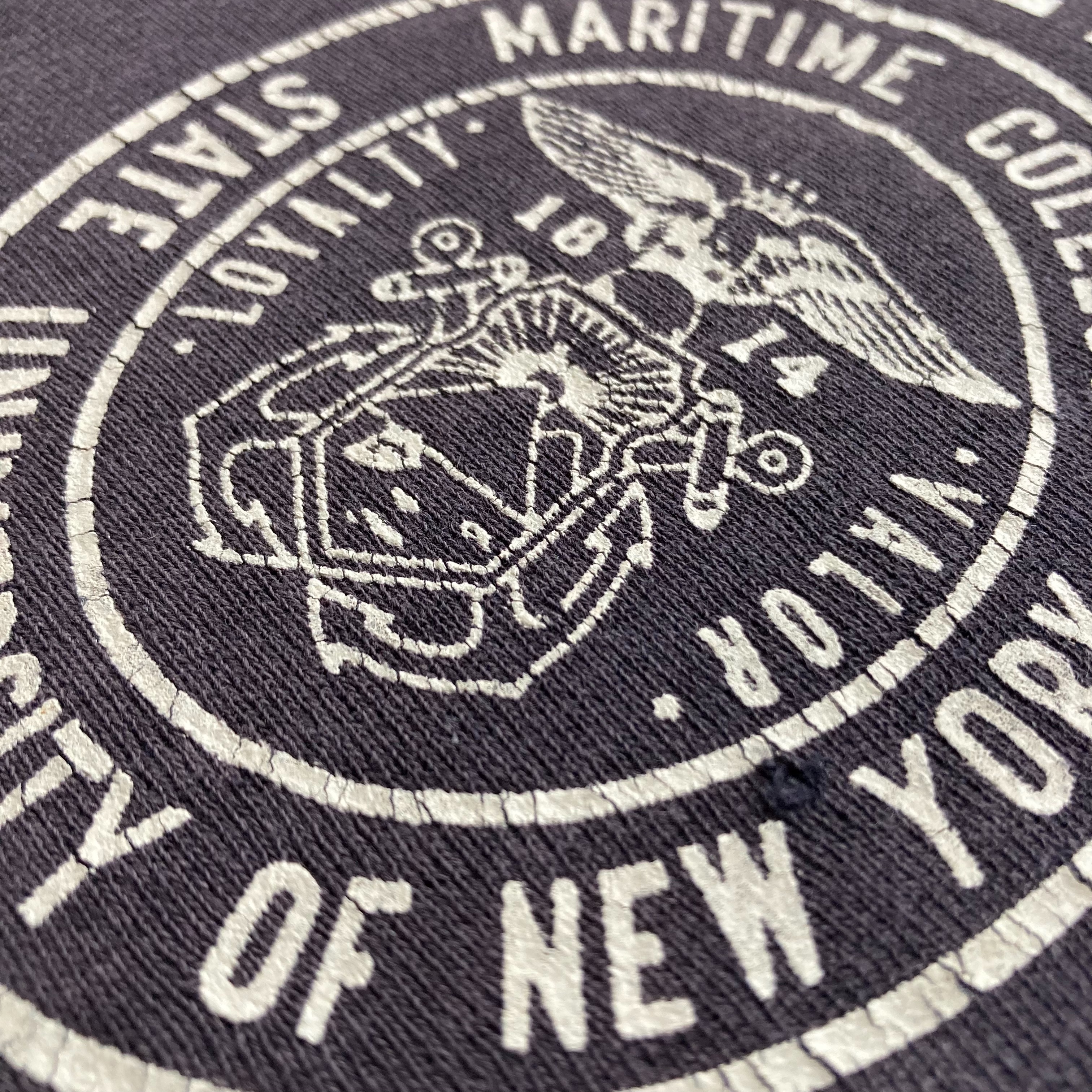 1699 スペシャル 単色タグ チャンピオン リバースウィーブ US.NAVY