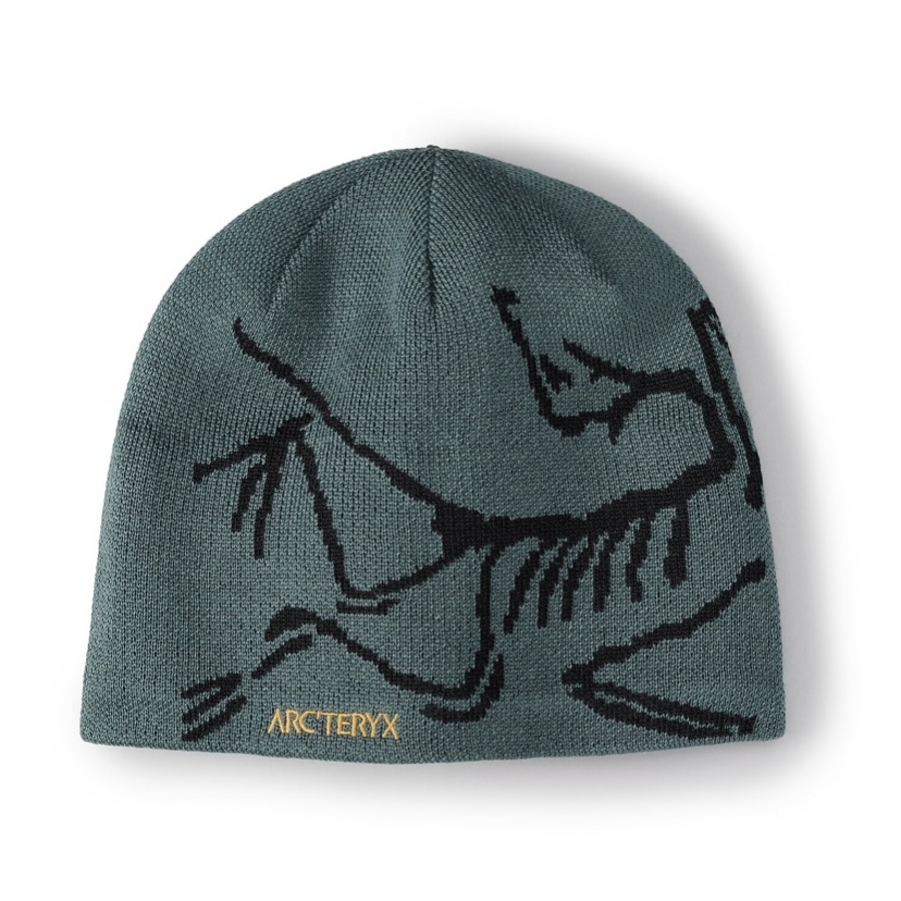 ARC'TERYX Bird Head toque [在庫あり] (ARC'TERYX/ニットキャップ