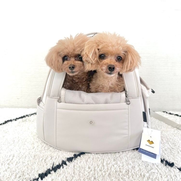 9/30先行発売】SSOOOK(ソオオク)新作スリングバッグ オープンタイプが