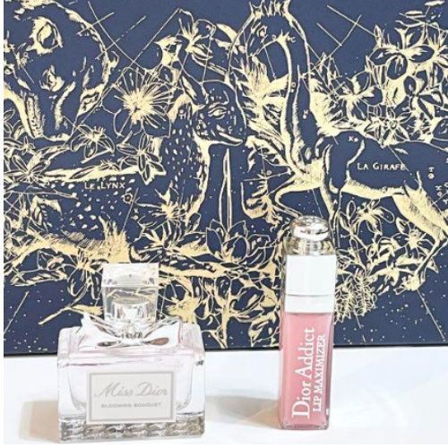 ディオール ホリデーポーチ4点セット dior-gift-2022-2 (Dior/ポーチ