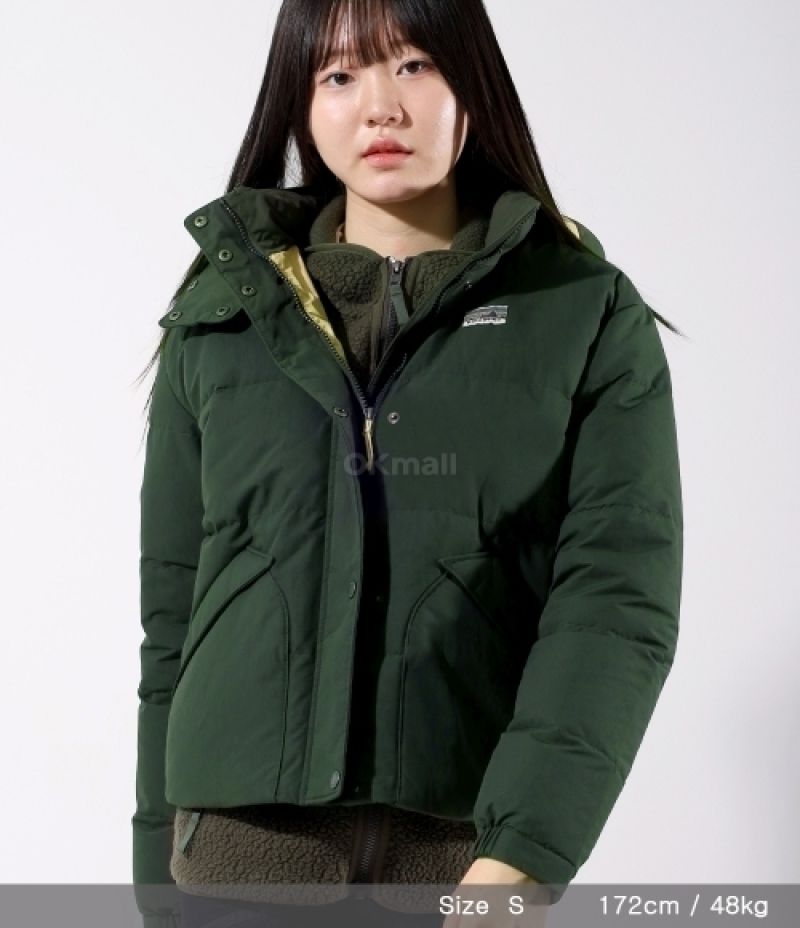 patagonia｜DOWN JACKETS (W Downdrift Jkt (20625-PNGR)) (Patagonia