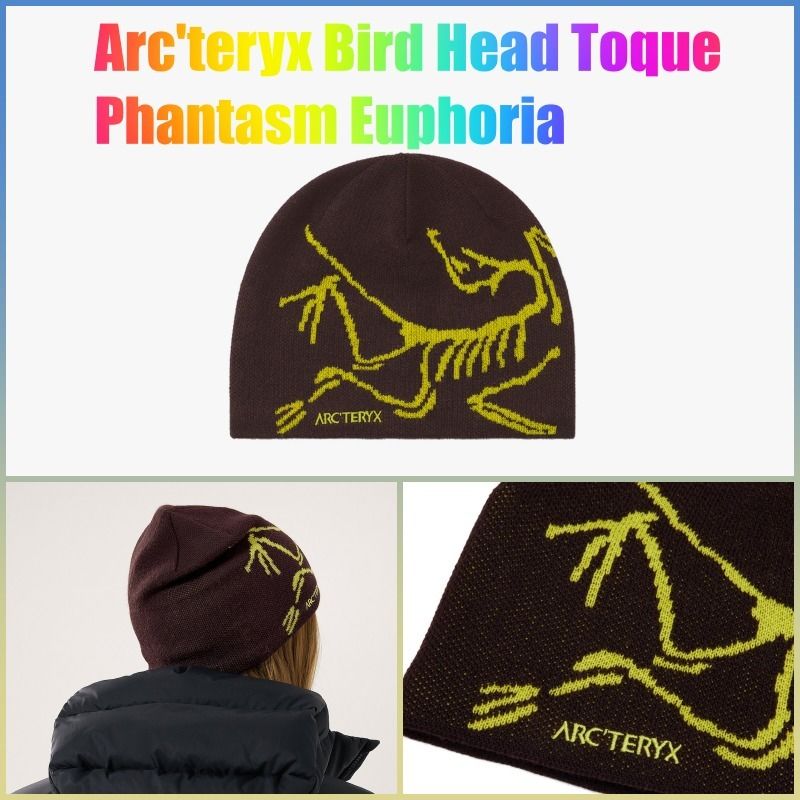 ☆Arc'teryx☆Bird Head Toque☆Phantasm Euphoria (ARC'TERYX/ニット