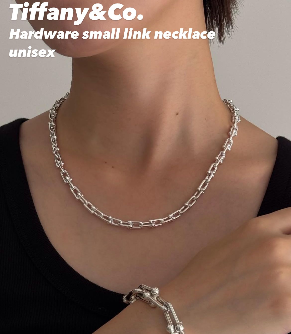 Tiffany & Co ハードウェア スモールリンク ネックレス シルバー
