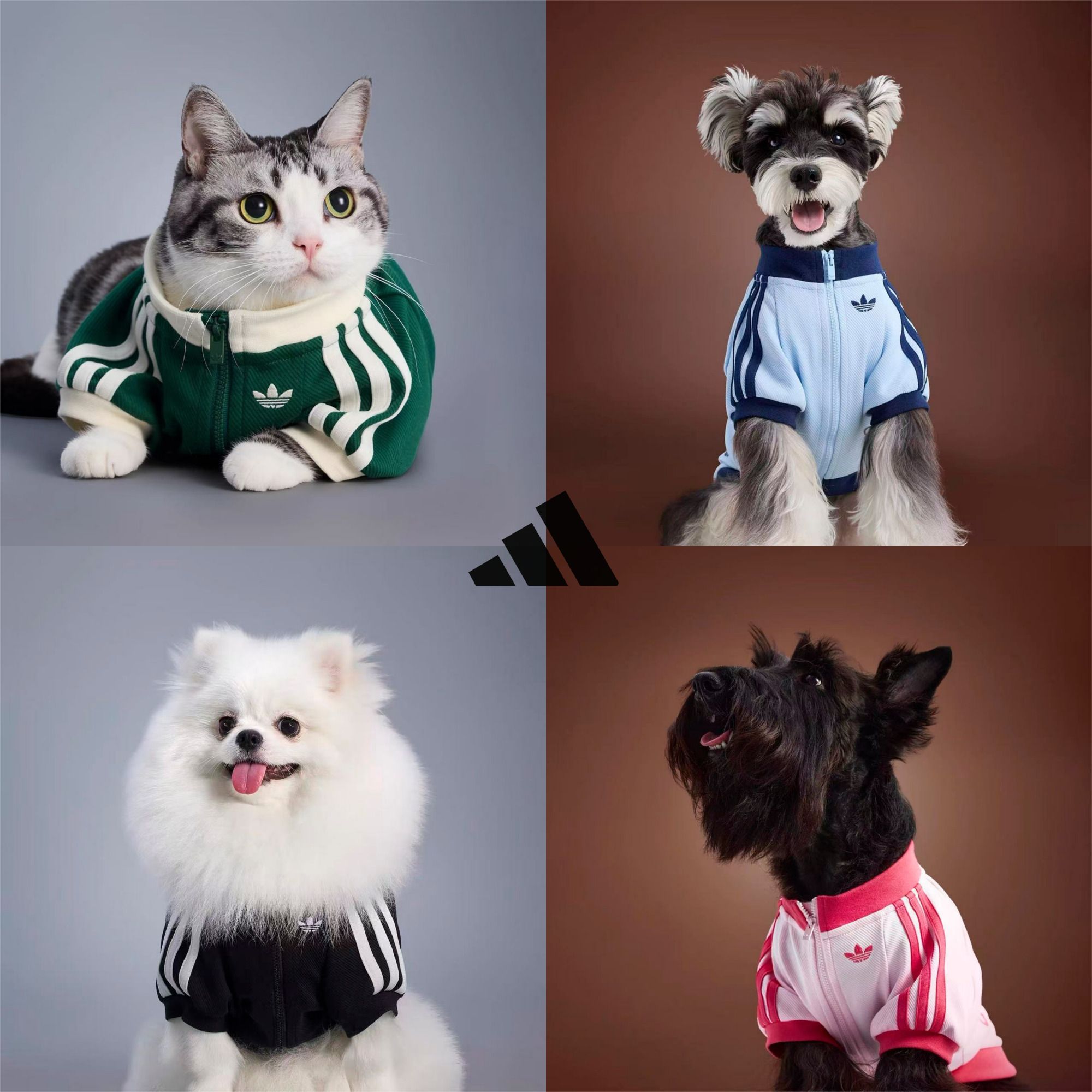 adidas ワンちゃん＆ネコちゃんジップアップウェア china tsueta