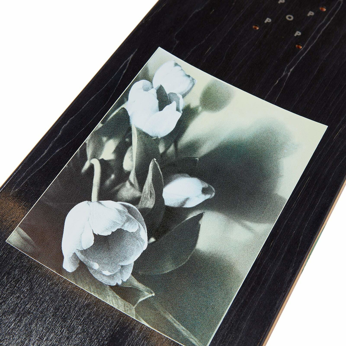 Pop Trading Company x Paul Smith Skateboard in Multi Pop Trading