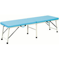 軒先渡し】高田ベッド 折りたたみ式ポータブルベッド(有孔) ビニル