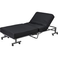 アイリスオーヤマ ベッド 折りたたみ シングル S 電動ベッド 介護