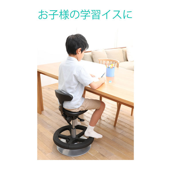 アーユル・チェアージャパン アーユル・チェアー ルナ ブラック 30686