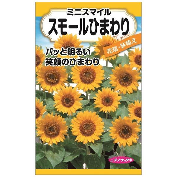 ニチノウのタネ スモールひまわり 矮性ひまわり（ミニスマイル