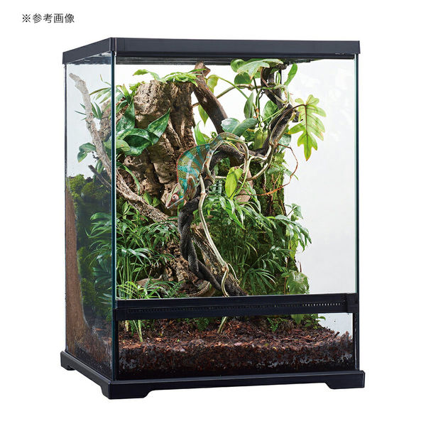 ジェックス GEX エキゾテラ グラステラリウム ドレイン 4560 ハイ