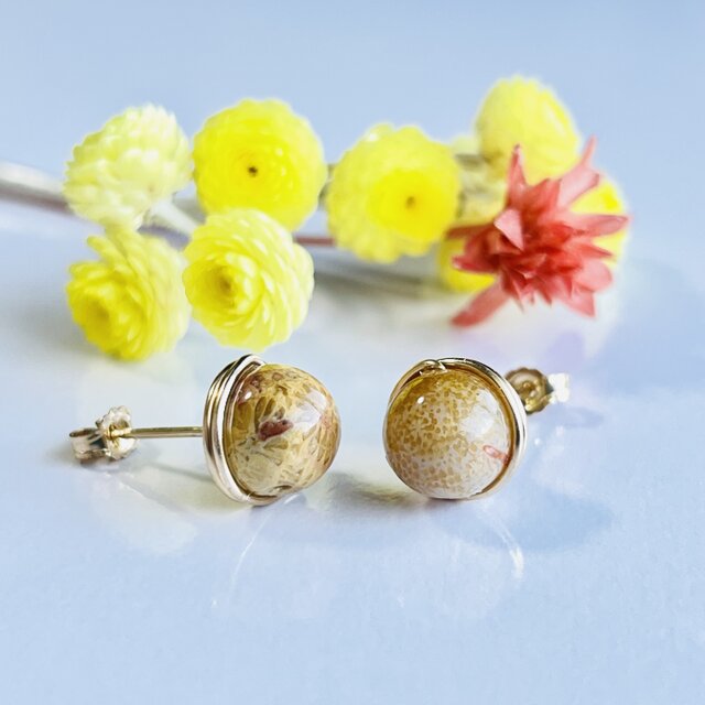 フォッシルコーラル 1粒ピアス 14kgf | iichi 日々の暮らしを心地よく