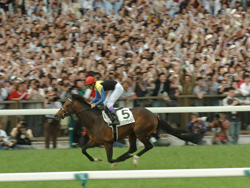 ディープインパクトの軌跡 [写真特集3/8] | 毎日新聞