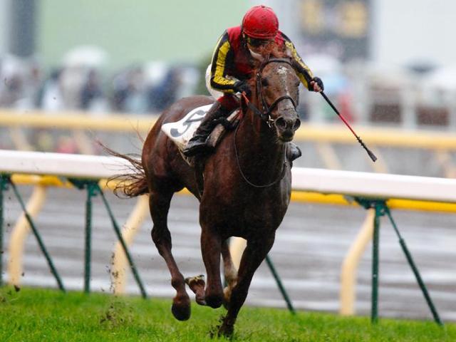 日本ダービー】名種牡馬のすごさ際立った「おじいちゃんが全頭一緒」の