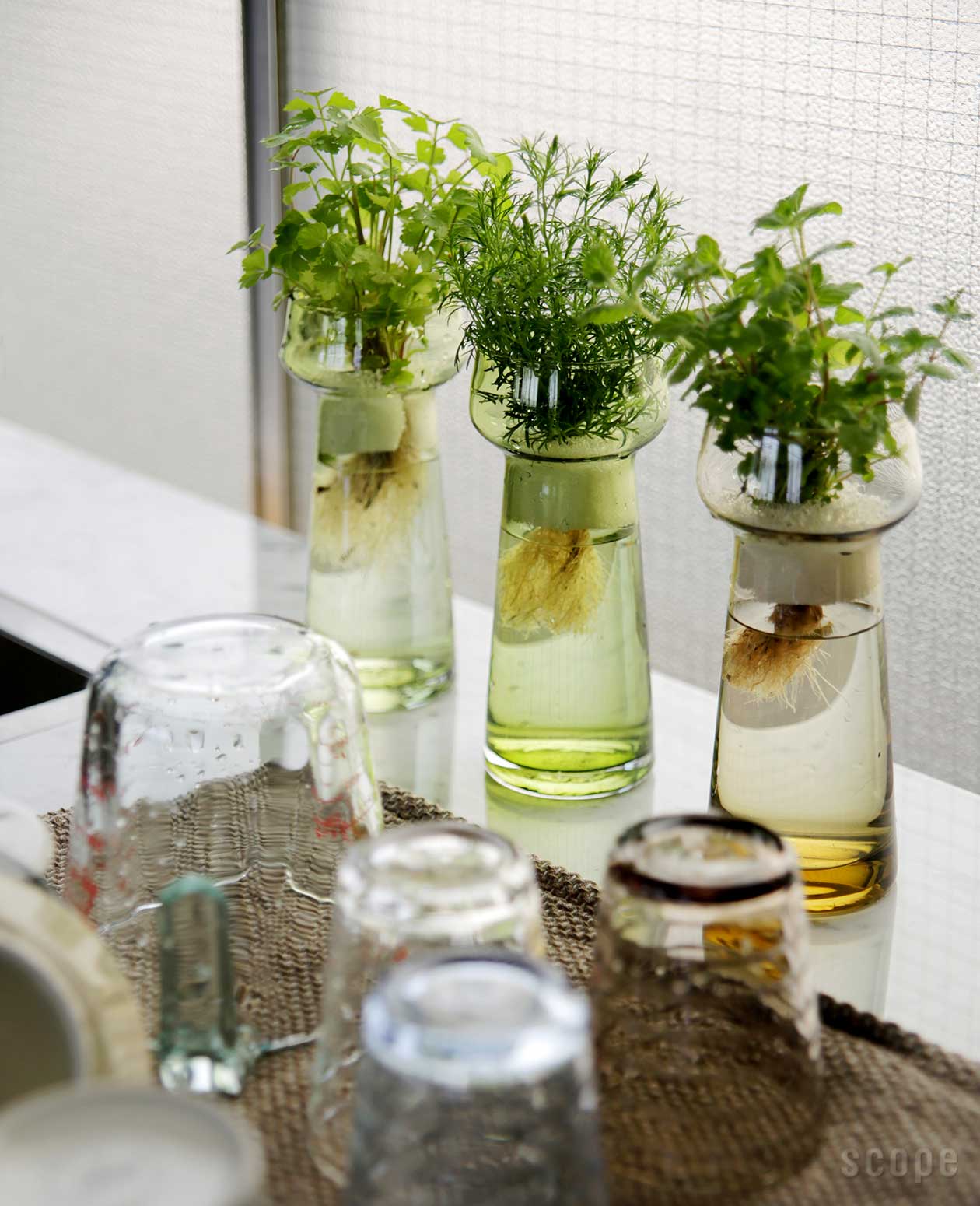 販売終了】Celebrate | Holmegaard (ホルムガード)