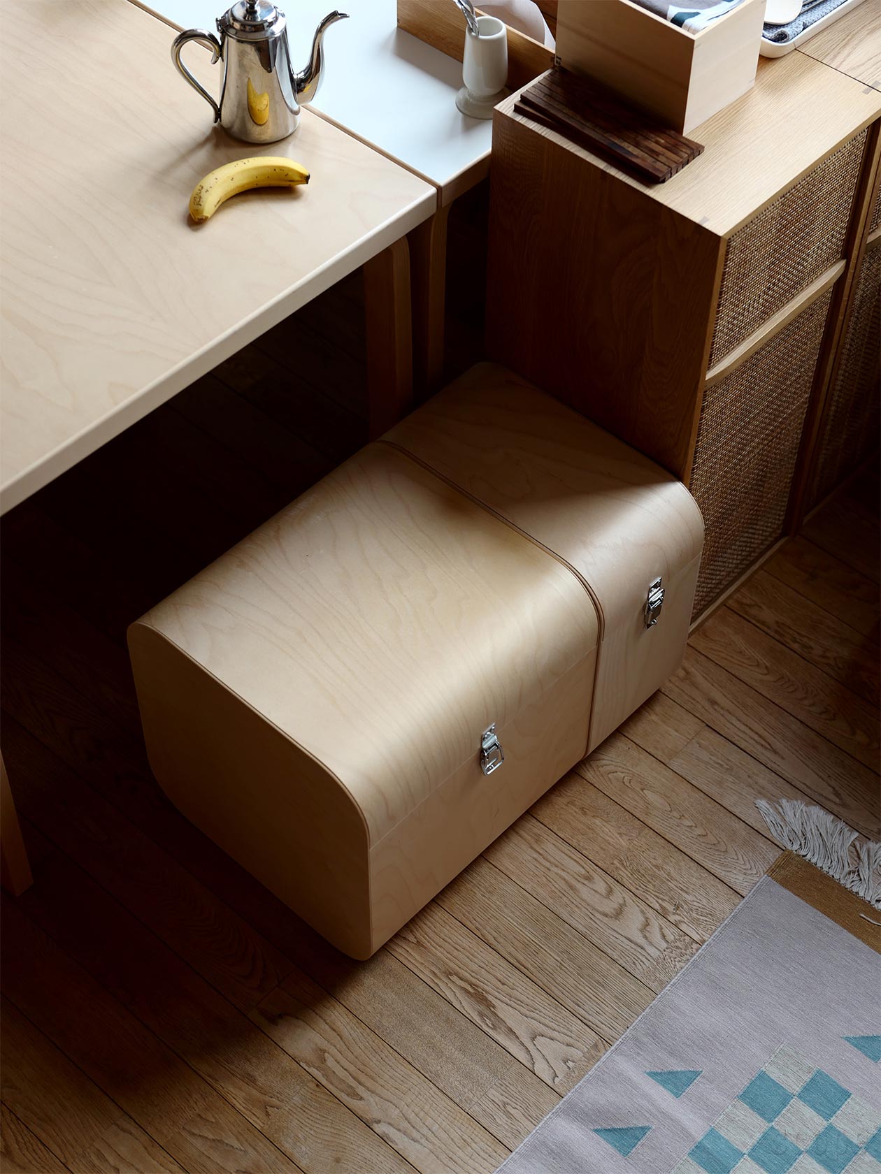 シュミディンガーモジュール / ファティーコンテナ Lサイズ 未使用 美