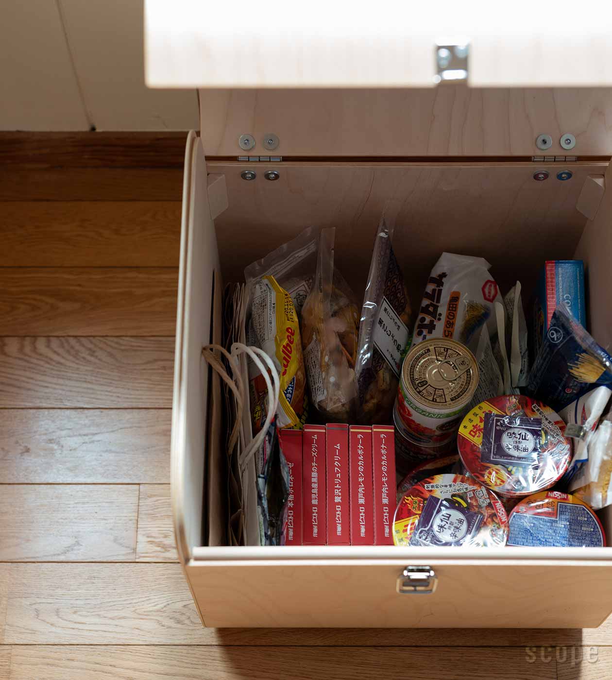 シュミディンガーモジュール / ファティーコンテナ Lサイズ 未使用 美