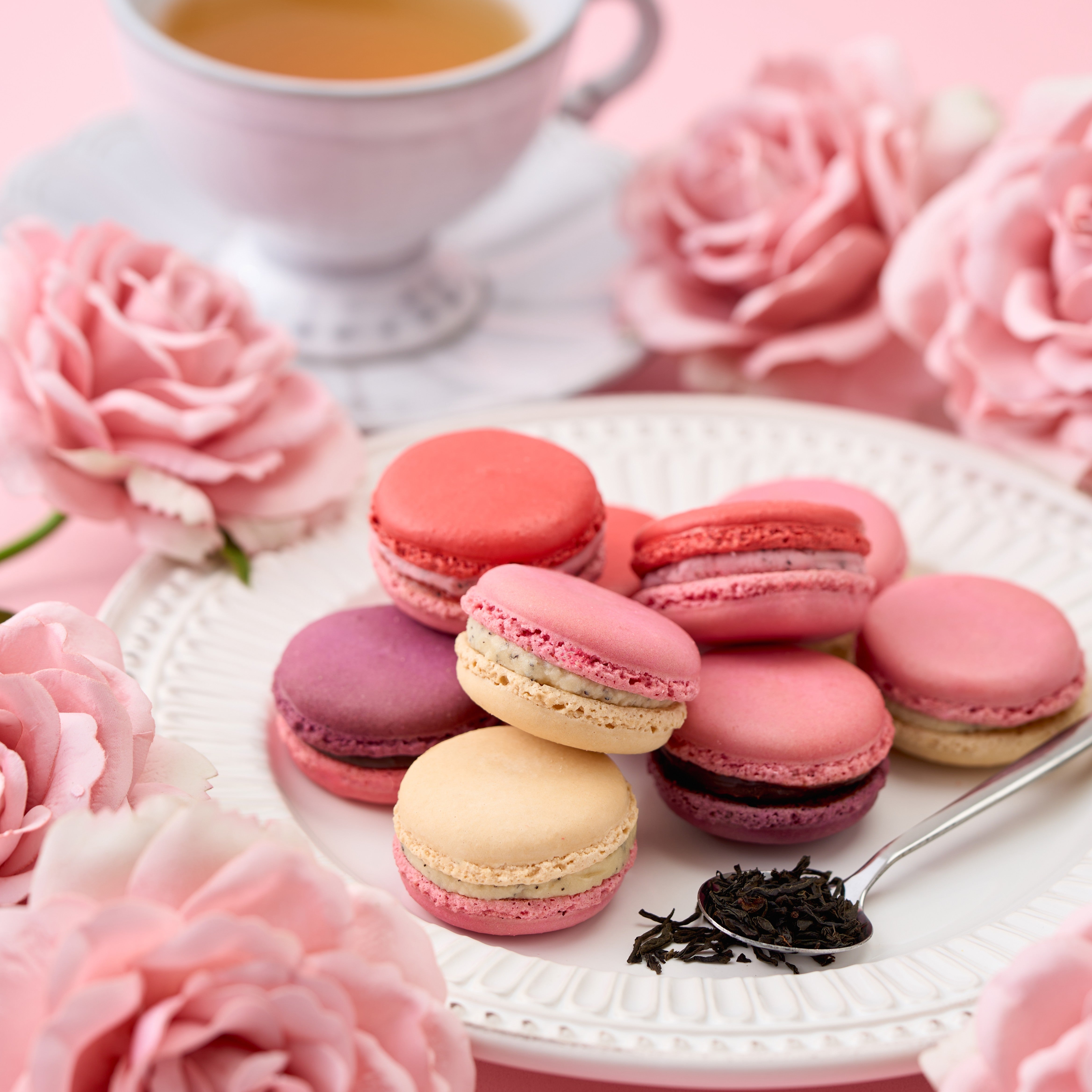 アールグレイマカロン 3個入 – Wayu 若尾製菓 online store