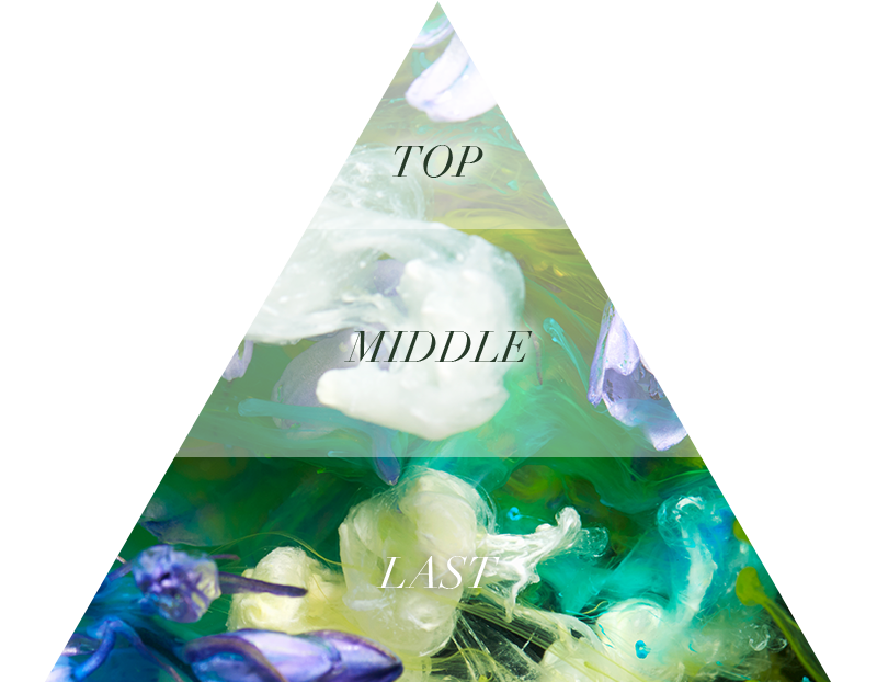 Aiam チャプター9 100mL