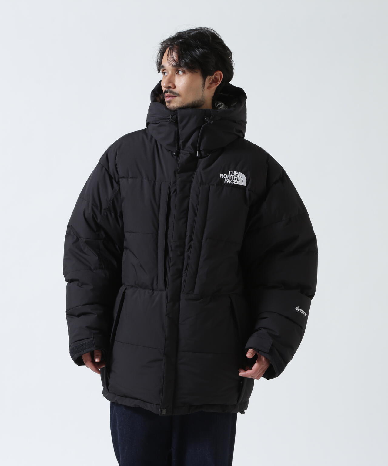 THE NORTH FACE (ザ・ノースフェイス）Baltro Light Jacket バルトロ