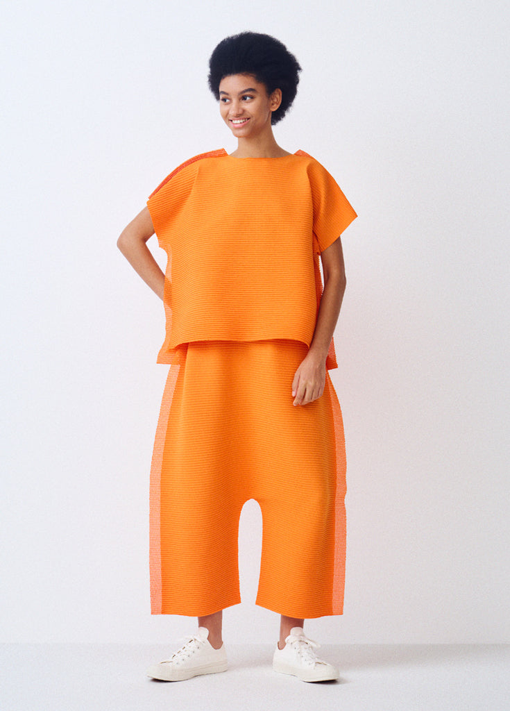 アイテムのご紹介「FRAME MESH PLEATS」 – isseymiyake.com