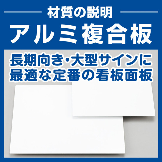 私有地につき立入禁止 監視の目デザイン プレート看板 W450×H300 エコ