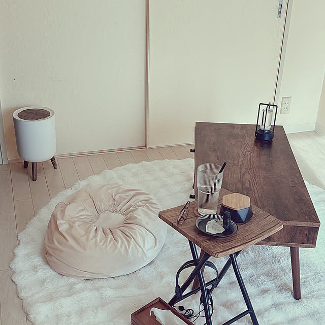 Francfranc フランフラン プレジール フロアクッション φ500 ライト