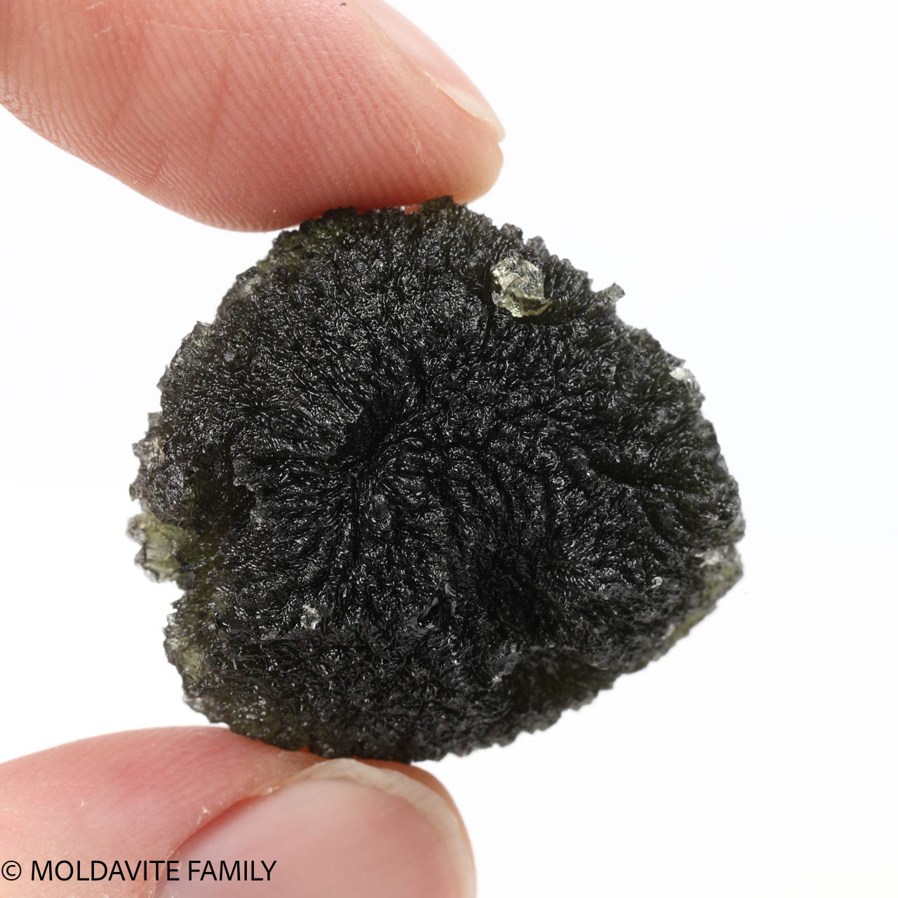 MOLDAVITE 18.4 GRAMS - MUSEUM GRADE (MM322017) - Moldavite Family