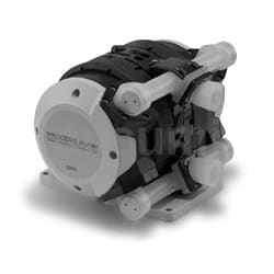 221302397122_001_2023080111583