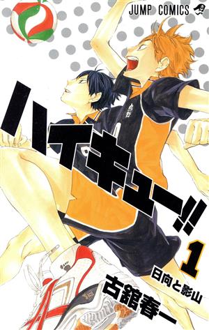 コミック全巻セット・まとめ買い】ハイキュー!!(全45巻)セット