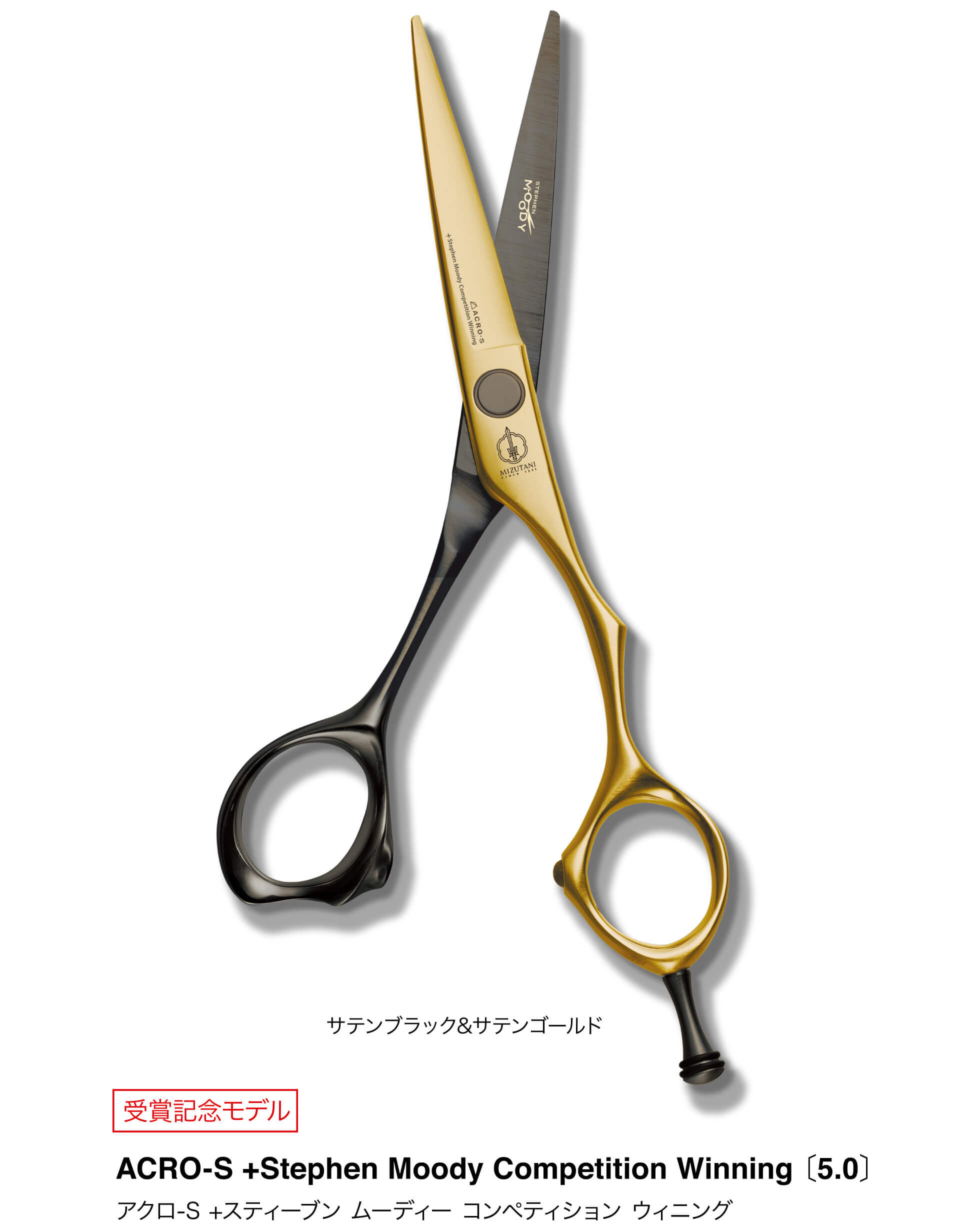 特集 Stephen Moody Model | ミズタニシザーズ