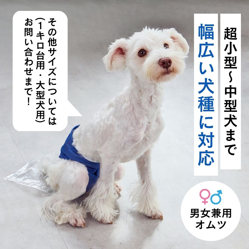 商品詳細｜FrienDoggy（フレンドギー）公式オンラインストア