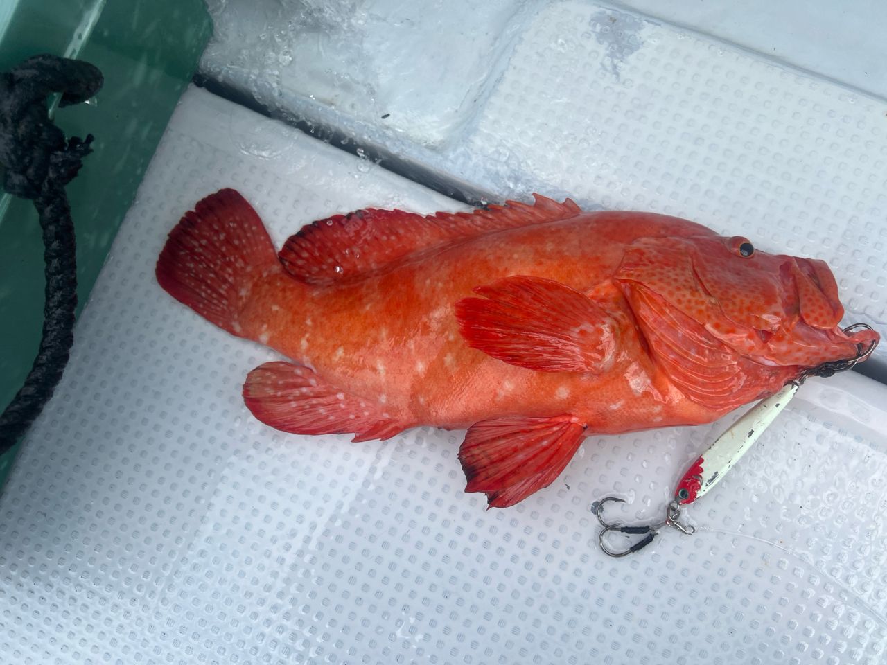 DAIWA UVF ソルティガ センサー 12 ブレイド EX +Si 1.2号/27.0lb/5色