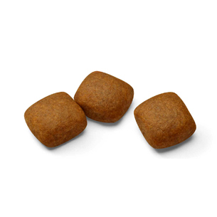 公式限定】ジャイアント ジュニア（超大型犬 専用フード 子犬用（生後8