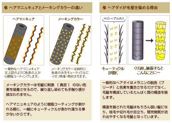 メニュー詳細｜ベル・ジュバンスの店 COCORO美容室｜大阪府大東市