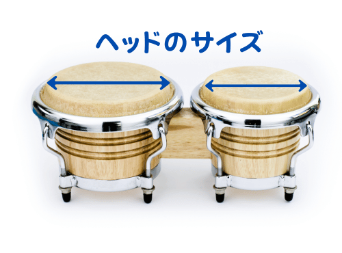 パーカッション初心者向け】ボンゴの選び方・選ぶときのポイントを解説